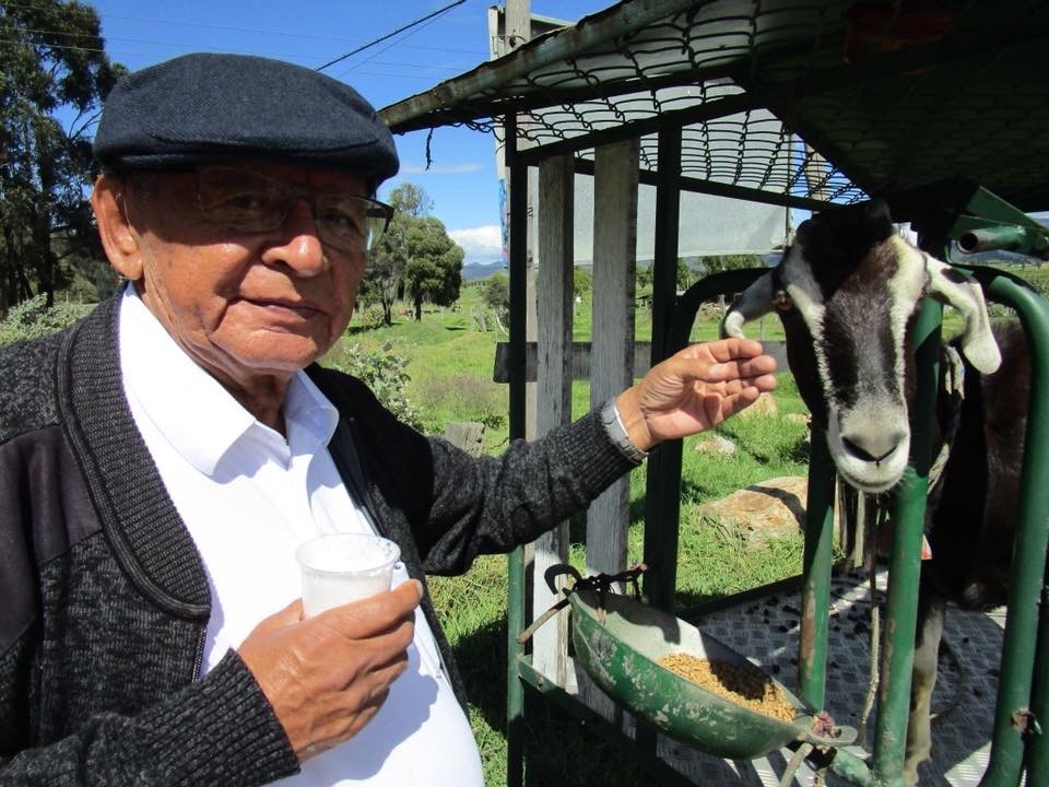 My father petting the goat he thought would help him restore his health, January 2018. [Photo] Ana Beatriz Cholo collection