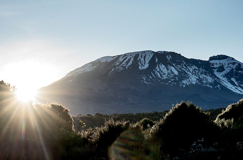 Kilimanjaro (19,341'), with the Western Breach visible, as seen from Shira 1 Camp at 11,500 feet. [Photo] Christian Pondella