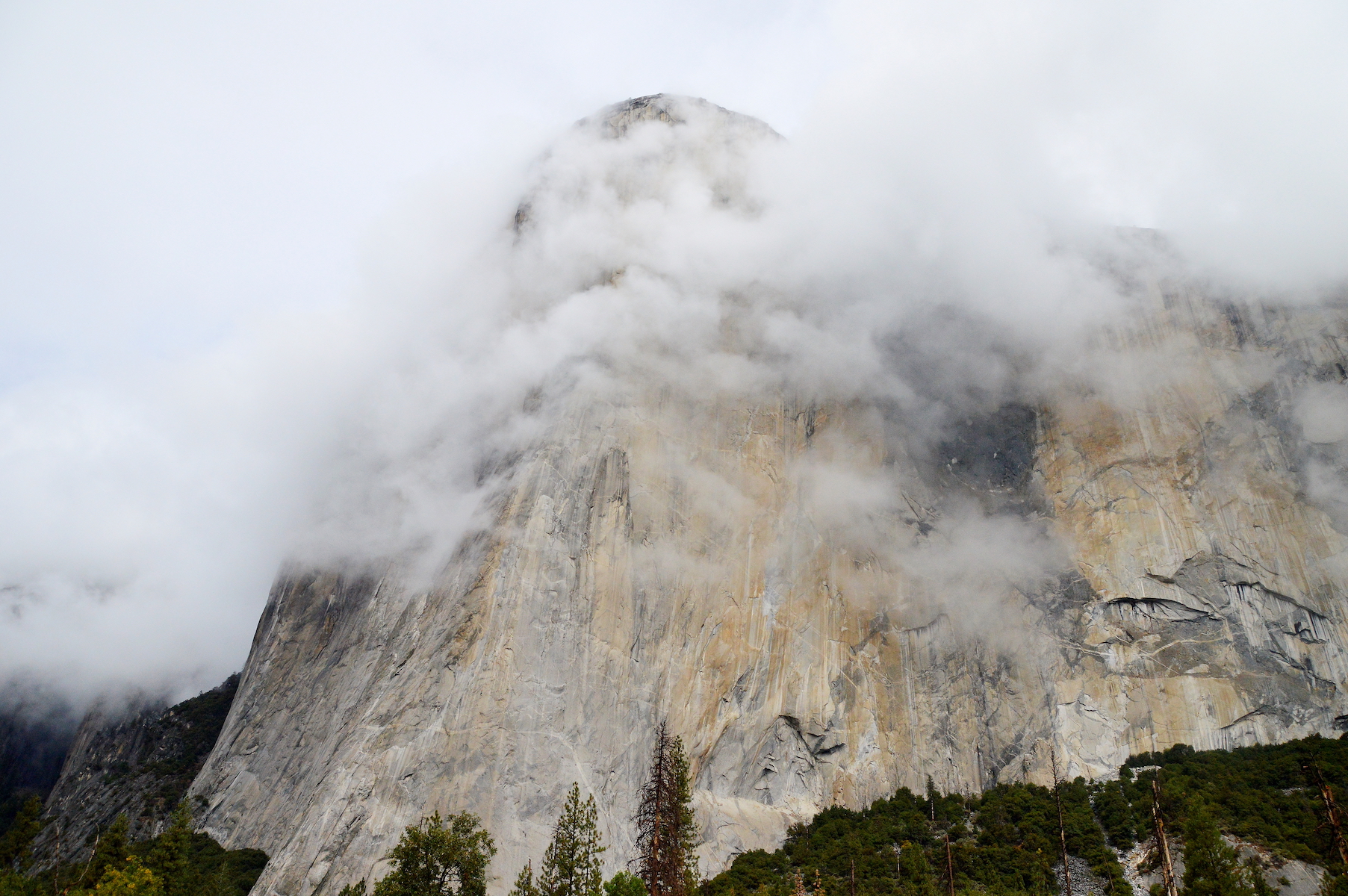 El Capitan (Tu-Tok-A-Nu-La). In his El Cap Report on October 9, 2021, photographer Tom Evans wrote, The storm arrived at 2:30 a.m. with some scattered showers.... It was raining fairly hard when a large rockfall was heard pounding down, what I think was the Camp 4 wall, at 4:35 a.m.... By the time I got going...the rain was gone and the clouds were clearing off. [Photo] Tom Evans