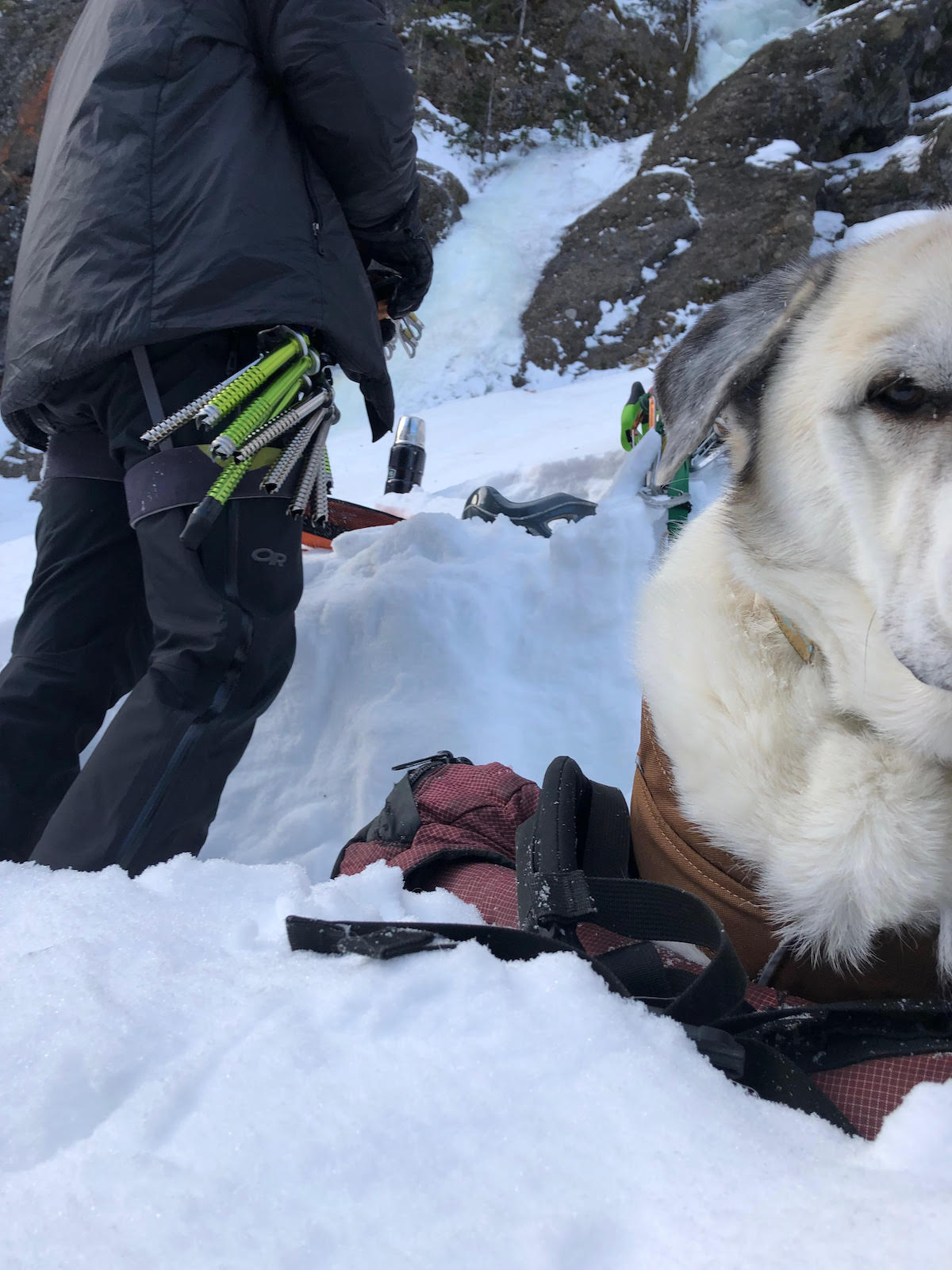 One of the black, reservoir tip caps can be seen on the long Ultralight Express screw that is racked on the author's harness in the background while Kanut the dog stares down the camera. [Photo] Chris Luehder