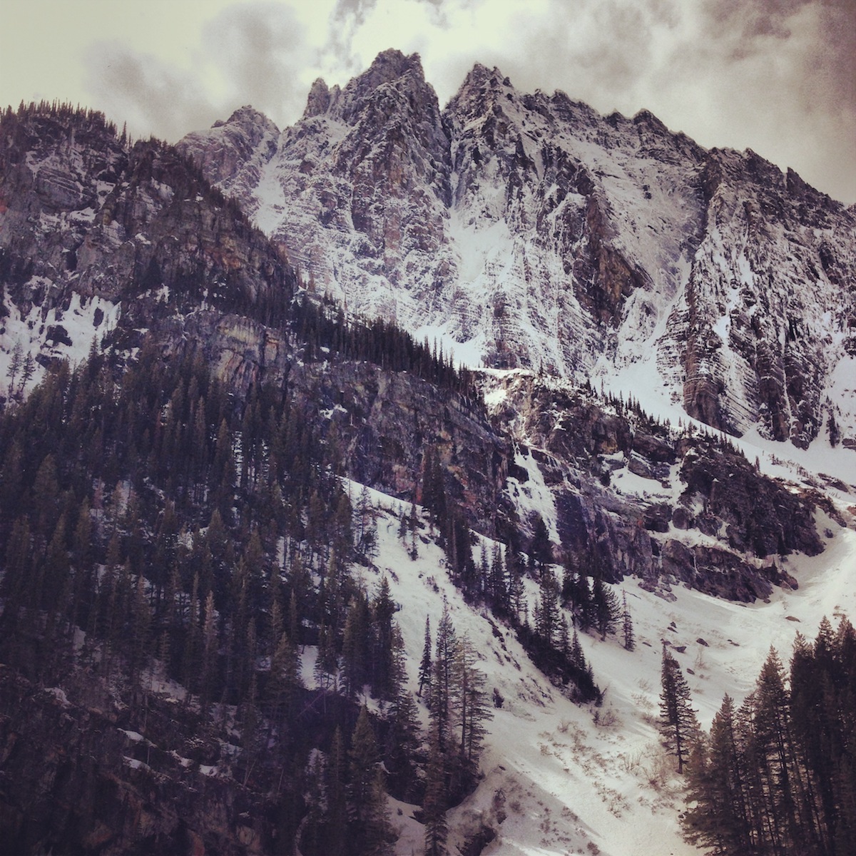 A Peak's north face with the prominent couloir of Canmore Wedding Party visible in the center. [Photo] Jess Roskelley