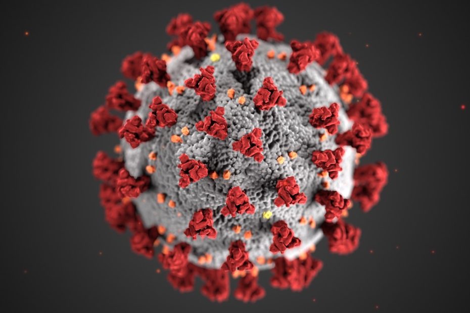 This illustration, created at the Centers for Disease Control and Prevention (CDC), reveals ultrastructural morphology exhibited by coronaviruses. Note the spikes that adorn the outer surface of the virus, which impart the look of a corona surrounding the virion, when viewed electron microscopically. [Image] Centers for Disease Control and Prevention (CDC.gov)