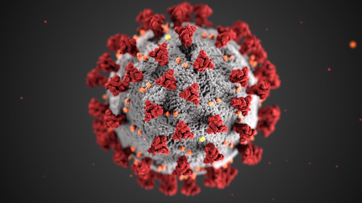 This illustration, created at the Centers for Disease Control and Prevention (CDC), reveals ultrastructural morphology exhibited by coronaviruses. Note the spikes that adorn the outer surface of the virus, which impart the look of a corona surrounding the virion, when viewed electron microscopically. [Image] Centers for Disease Control and Prevention (CDC.gov)