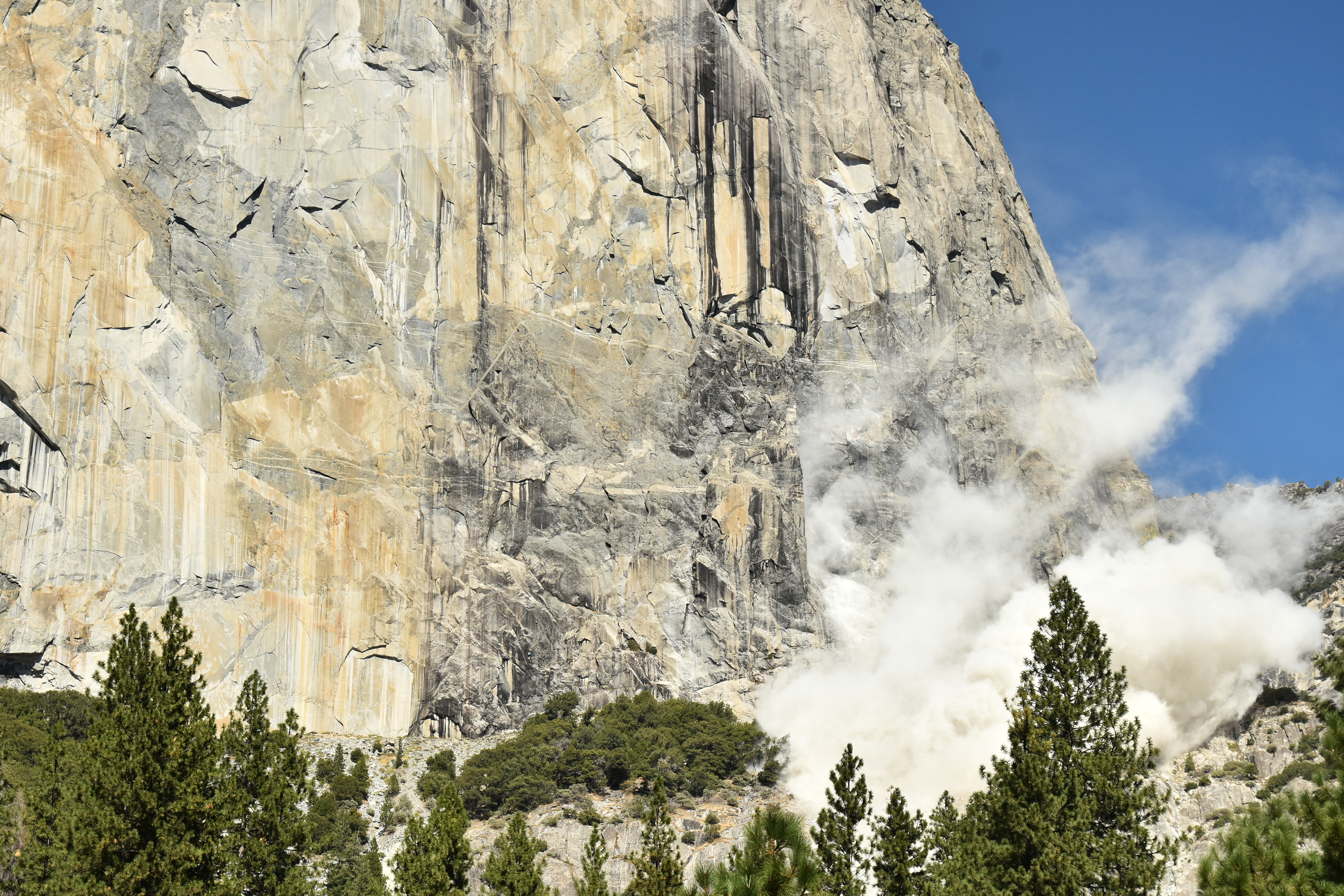 A huge plume of granite dust billows at the base of Yosemite's El Capitan where a massive series of rockfalls occurred the afternoon of September 27. A fresh, white rock scar where the event originated can be seen to the right of the black streaks. One person was killed and another injured. [Photo] Tom Evans