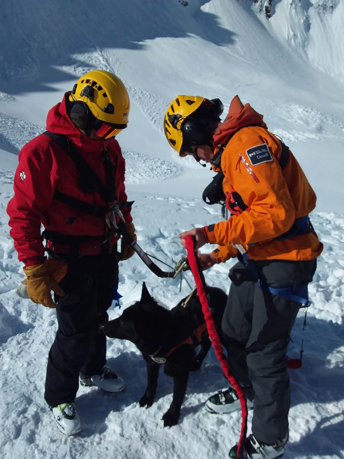 The search dog with handlers. [Photo] Courtesy of Parks Canada