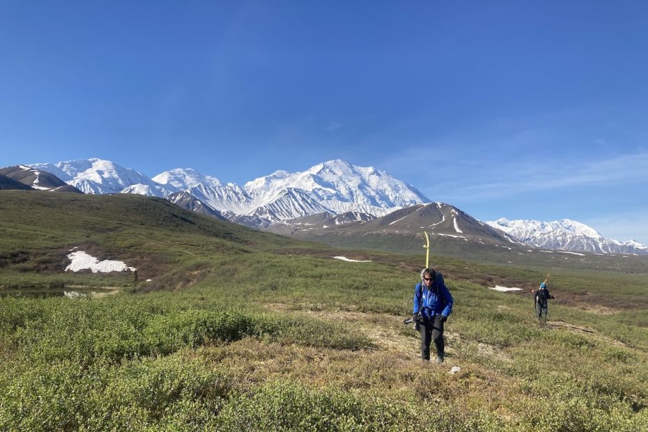 Hiking out to Wonder Lake after reaching both summits of Denali (20,310') via the Cassin Ridge and skiing down the Northwest Buttress to the end of the Peters Glacier. [Photo] Mike Gardner collection