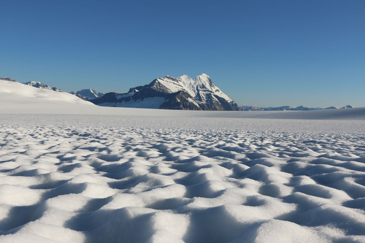 Columbia Icefield, Alberta. [Photo] Manasseh Franklin