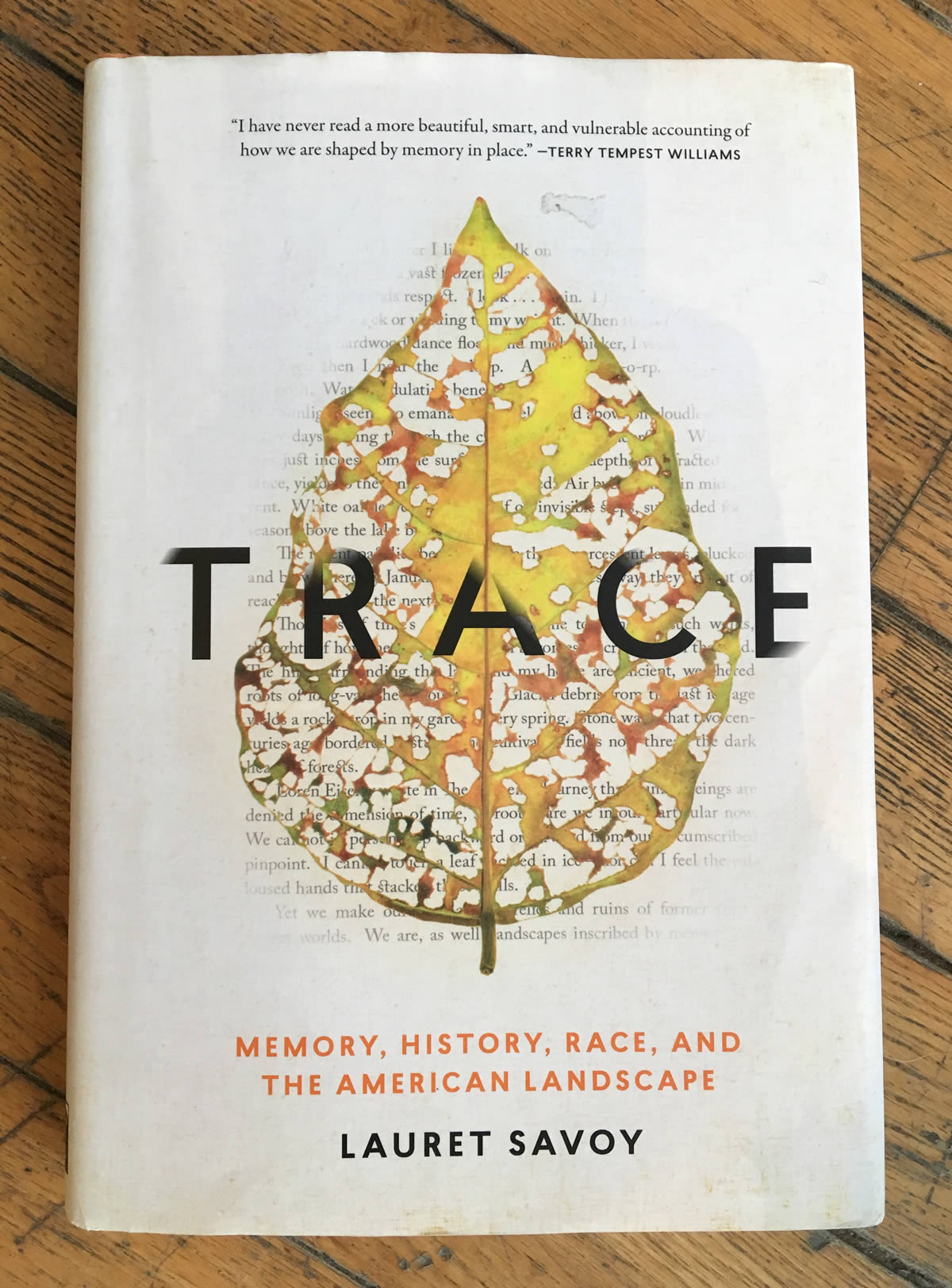 Lauret Savoy's Trace: Memory, History, Race, and the American Landscape (2015). [Photo] Katie Ives