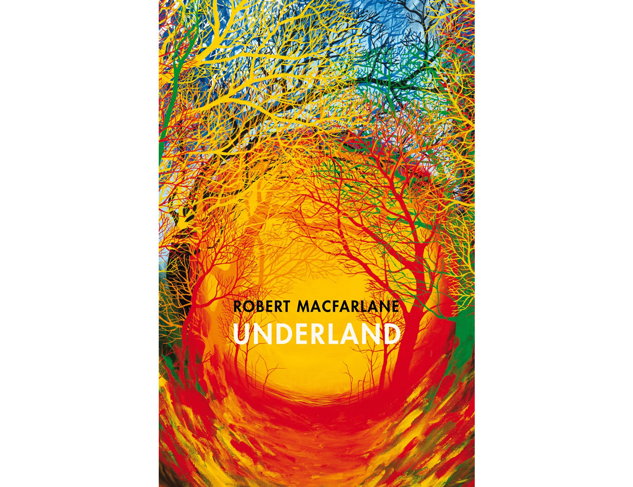 Underland: A Deep Time Journey.